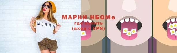 индика Зерноград