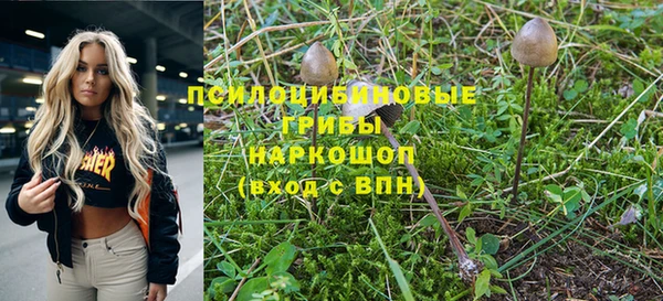 индика Зерноград