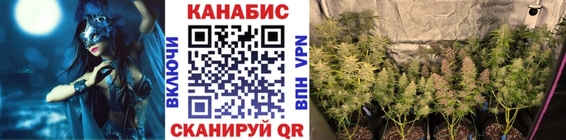 где найти Невинномысск МАРИХУАНА THC 21%